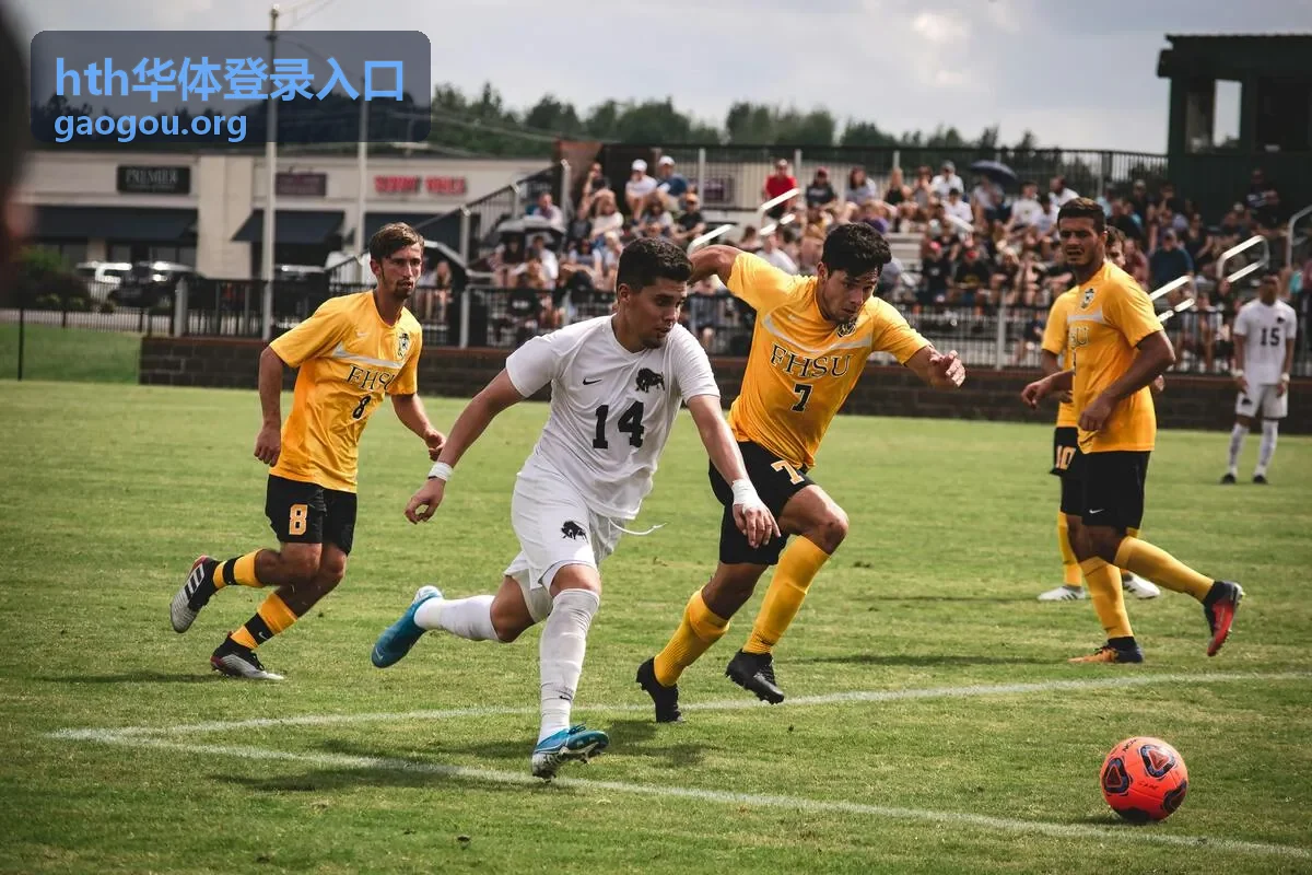 hth华体登录入口会员权益等级说明